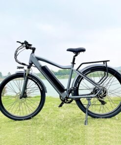 CMACEWHEEL F26 Electric Bike