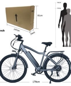 CMACEWHEEL F Electric Bike Inch Tires Silver Gray