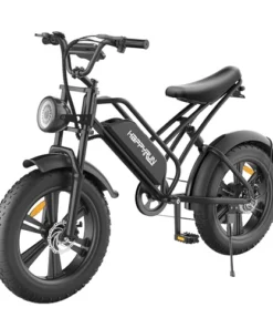 HAPPYRUN HR G Electric Bike w p