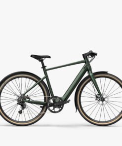 fiido c gravel electric bike dark green with fender x ()