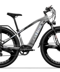 cysum m speedy electric bike pogo cycles