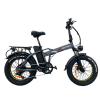 drvetion at eletric fat bike pogo cycles