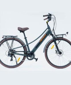 emotorad plymouth pogo cycles