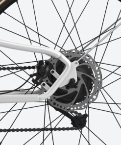 emotorad plymouth pogo cycles
