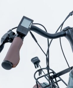 emotorad plymouth pogo cycles