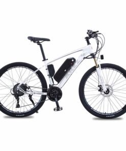 akez e bike inch white
