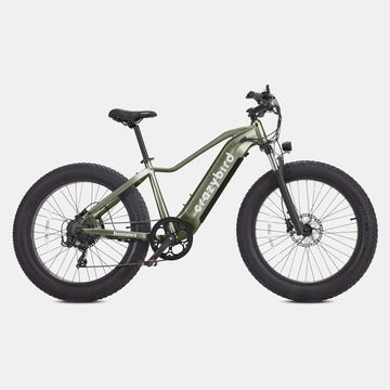 crazybird jumper e bike pogo cycles