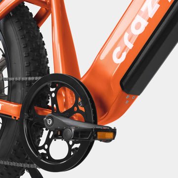 crazybird-jumper-e-bike-pogo-cycles-15 crazybird jumper e bike pogo cycles