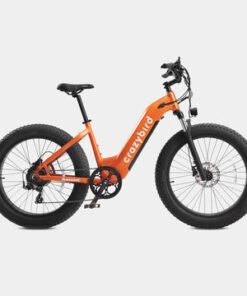 crazybird jumper e bike pogo cycles