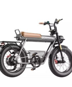 coswheel ct cargo electric bike pogo cycles