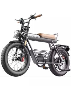 coswheel ct cargo electric bike pogo cycles