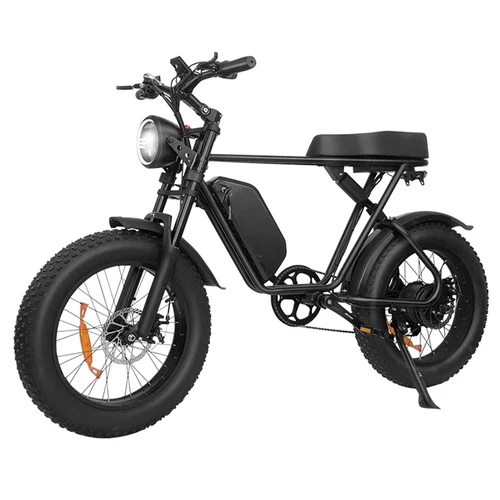 Q W ah Off road Electric Bike w p