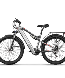 RANDRIDE YG90A 27 inch Electric Bike