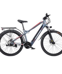 RANDRIDE YU Electric Bike W Motor Black w p