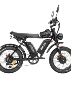 Ridstar Q Pro W Motor E Bike w p