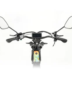 Ridstar Q Pro W Motor E Bike w p