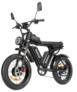 Ridstar Q Pro W Motor E Bike w p