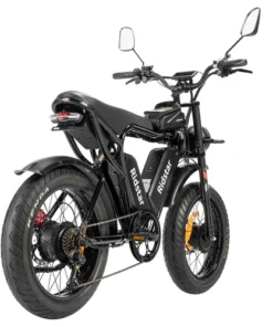 Ridstar Q Pro W Motor E Bike w p