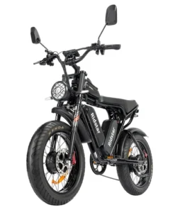 Ridstar Q Pro W Motor E Bike w p