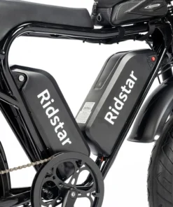 Ridstar Q Pro W Motor E Bike w p