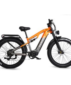 ebike x