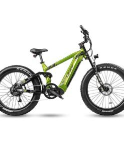 CYRUSHER Ranger All-terrain Electric Bike