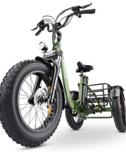 HidoesETelectrictricycle x