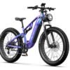 duotts e electric bike pogo cycles