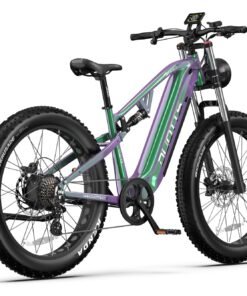 duotts e electric bike pogo cycles