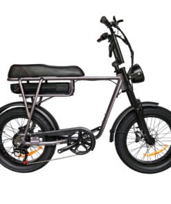 tourwheel fatbike t coffee zijaanzicht rechts