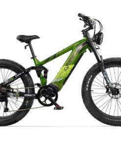 CyrusherRanger ebikeGreen