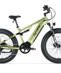 CyrusherRoverE Bike Green Main
