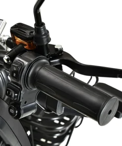 Freejoyer FV Electric Tricycle W V Ah Black w p