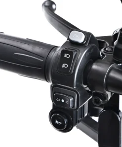 Freejoyer FV Electric Tricycle W V Ah Black w p