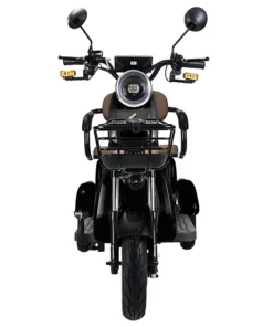 Freejoyer FV Electric Tricycle W V Ah Black w p