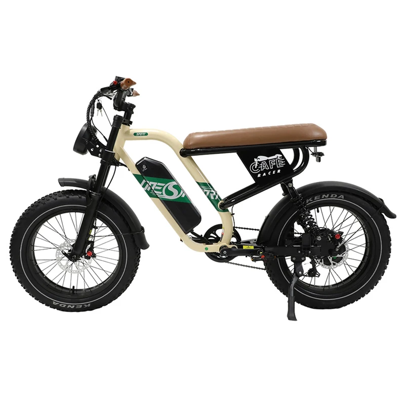 ONESPORT-W66-Electric-Bike-500W-13-5Ah-527997-4._w800_p1_ ONESPORT W Electric Bike W Ah w p