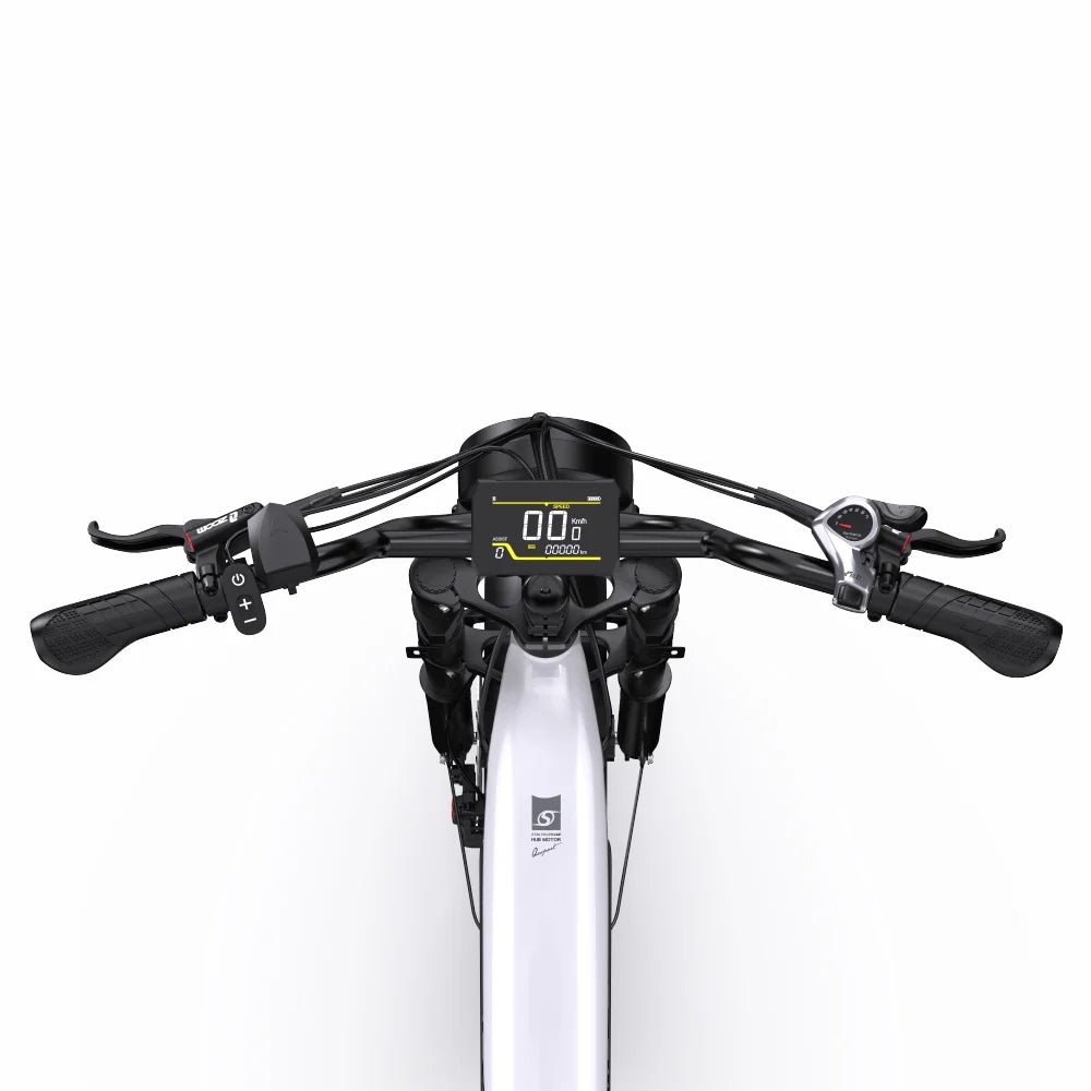 B-OT08Pro.4_2 B OTPro