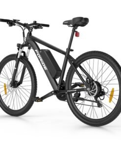 Foride Xtremer V W Ah E Bike w