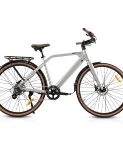 CMACEWHEEL F700-2 Removable Battery Electric Bike