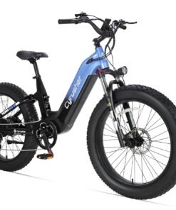 Cyrusher Roam E Bike Blue