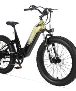 Cyrusher Roam E Bike Green