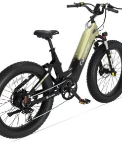 Cyrusher Roam E Bike Green