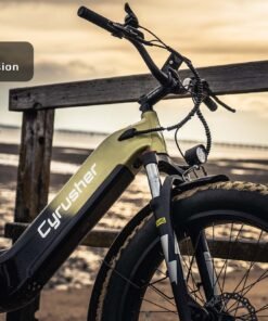 Cyrusher Roam E Bike Main