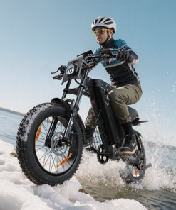 raptor W full suspension moped