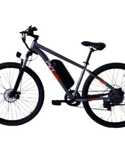 PVY M Commuter Electric Bike