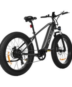 fat tire electric bike