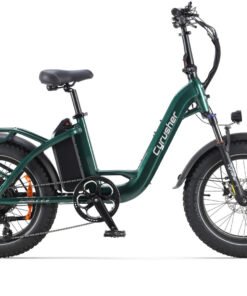 CyrusherRumble E Bike Green