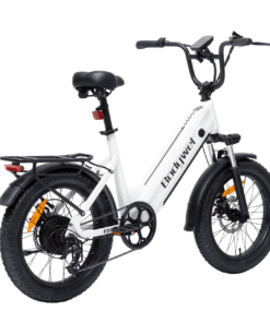 bodywel f fat tire touring ebike