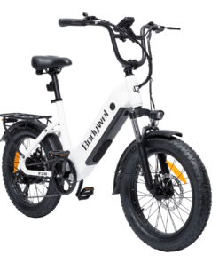 bodywel f fat tire touring ebike