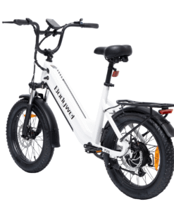 bodywel f fat tire touring ebike